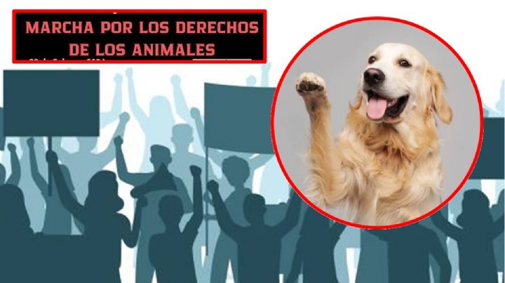 Viernes de marcha por la defensa de los animales en Nezahualcóyotl
