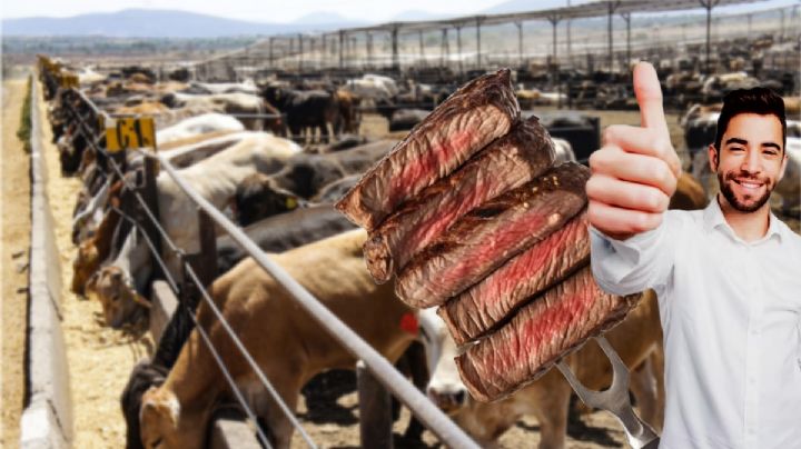 Carne producida en Hidalgo es segura para comer, muerte de ganado no afecta: Saderh