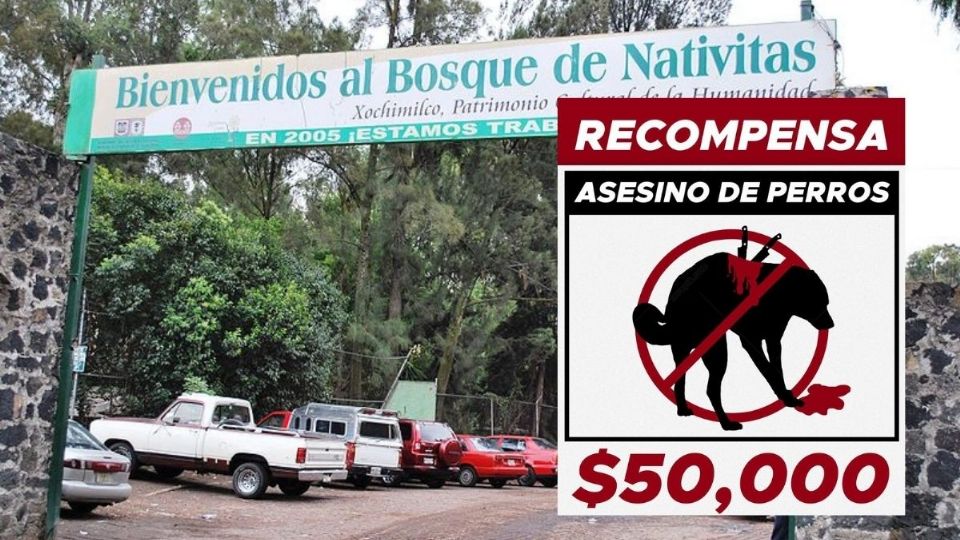 Ofrece diputada 50 mil pesos por asesino de perros de Xochimilco