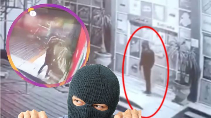 Ladrón se llevan hasta las plantas, así fue captado este delincuente | VIDEO