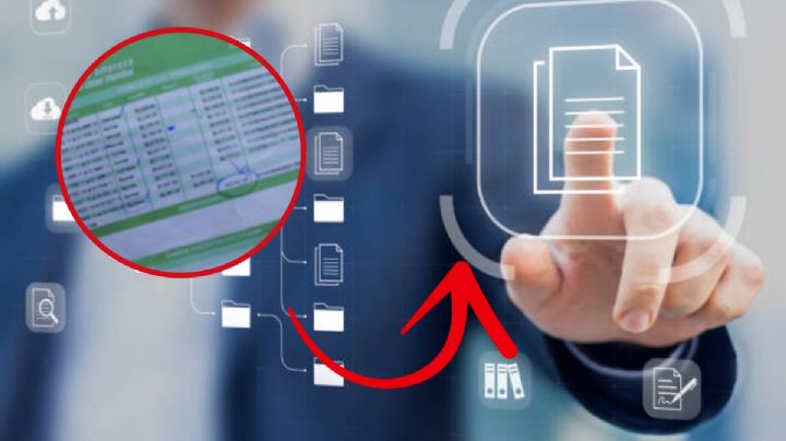 Recibo de luz CFE: ¿Cómo puedo consultar mi recibo totalmente en línea?