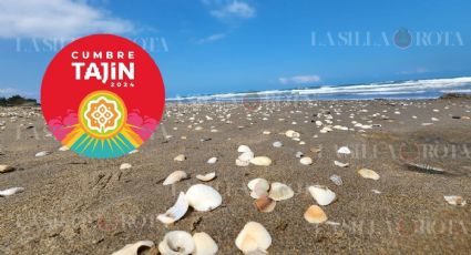 3 playas de Veracruz que puedes visitar si vas a Cumbre Tajín 2024