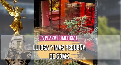 Así es la plaza comercial de lujo, pero más pequeña de la CDMX