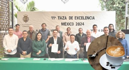 Se lleva a cabo en Córdoba el 11° certamen de “Taza de Excelencia México 2024"
