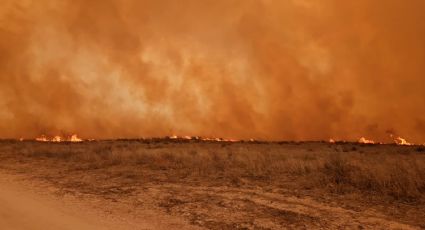Una treintena de incendios forestales devastan Texas; 6 continúan activos