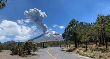 Refuerzan monitoreo por actividad del Popocatépetl en Edomex