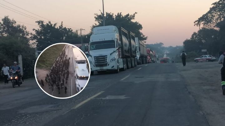 Carreteras del sur de Veracruz colapsaron durante más de diez horas por bloqueos