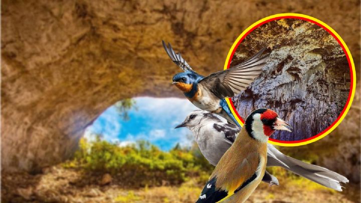 La cueva milenaria en Hidalgo “iglesia en la montaña” donde resuena el canto de las aves