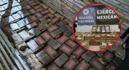 Entre cajas de nopales, encuentran 664 paquetes de narcóticos en Guanajuato