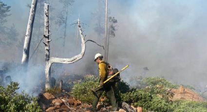 Hidalgo, en alerta amarilla por incendios forestales