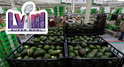 Super Bowl 2024: ¡Sí habrá guacamole!, productores mexicanos libran crisis climática y mandaran toneladas de aguacate