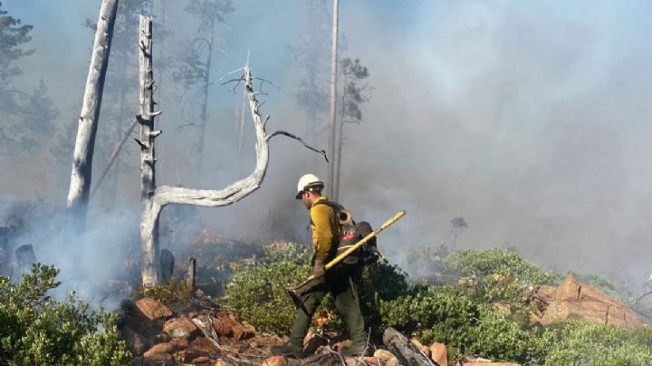 Hidalgo, en alerta amarilla por incendios forestales