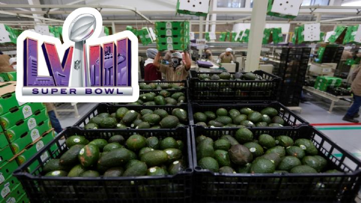 Super Bowl 2024: ¡Sí habrá guacamole!, productores mexicanos libran crisis climática y mandaran toneladas de aguacate
