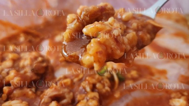 ¿El zacahuil es de Veracruz o de Hidalgo? Esto debes saber