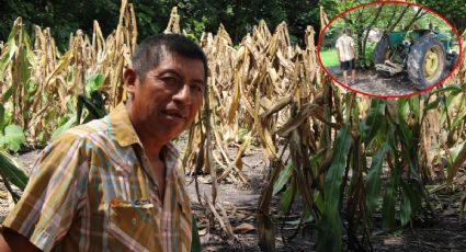 “Nos fue un poco jodido”: Agricultor chiapaneco cuenta estragos de sequía y abandono al campo