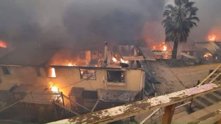 De la catástrofe a la resiliencia: cómo han sobrevivido entre las llamas en Chile