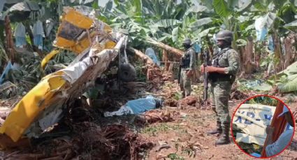 Se desploma avioneta fumigadora en Chiapas y se estrella en rancho San Isidro