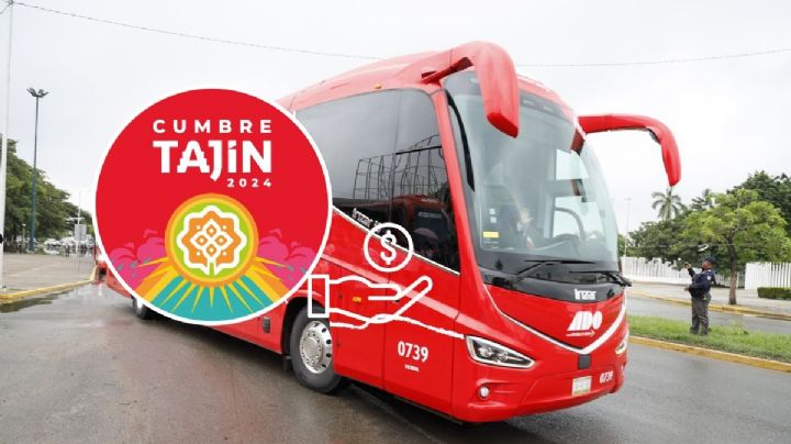 Estos son los precios de los autobuses para ir a Cumbre Tajín 2024 desde CDMX