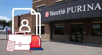 Gana hasta 88,000 dólares en Nestlé Purina en EU | EMPLEO
