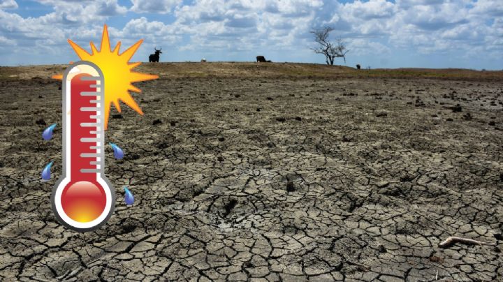 Fenómeno La Niña: Qué es, cómo afectaría a México y cuándo llega