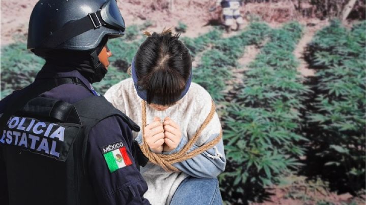 Policía “mata 2 pájaros de un tiro”: rescata a secuestrado y encuentra plantío de mariguana