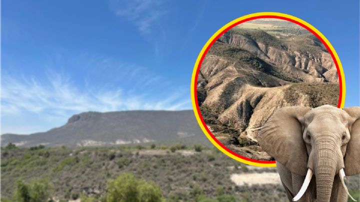 ¿Qué esconde el mítico cerro del Elefante en Hidalgo? Un destino imperdible