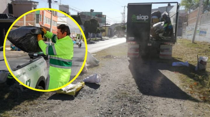 ¿Encontraste un animalito atropellado? Así puedes pedir que lo recojan gratis