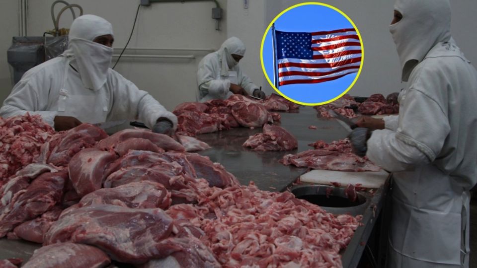 México es el segundo proveedor de carne de res y productos derivados de EU
