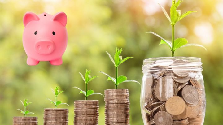 Cetes: Así puedes invertir tus utilidades 2024 y recibir más dinero a fin de año