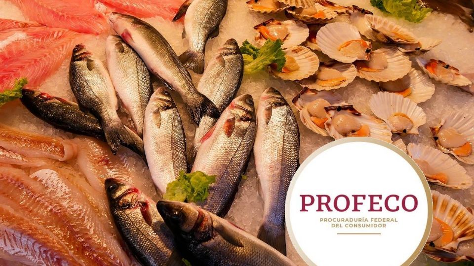 Estos son los pescados más baratos y más caros, según Profeco