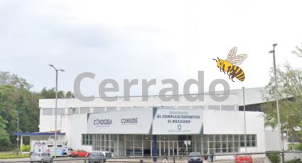 Complejo deportivo El Mexicano y La Arena permanecerán cerrados hasta nuevo aviso