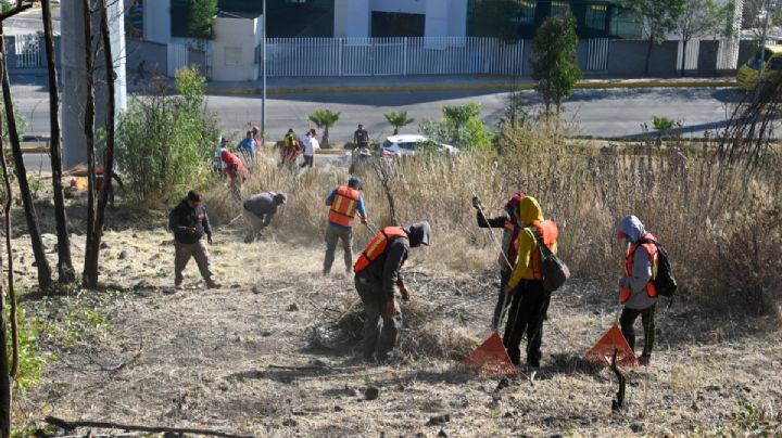Limpian Cerro de Moctezuma, en Naucalpan