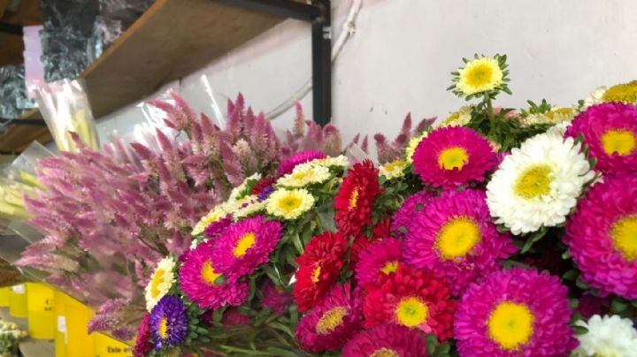 La calle de Las Flores: la Justo Sierra en León