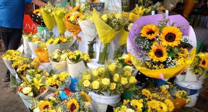 Por esta razón se regalan flores amarillas el 21 de marzo en Veracruz