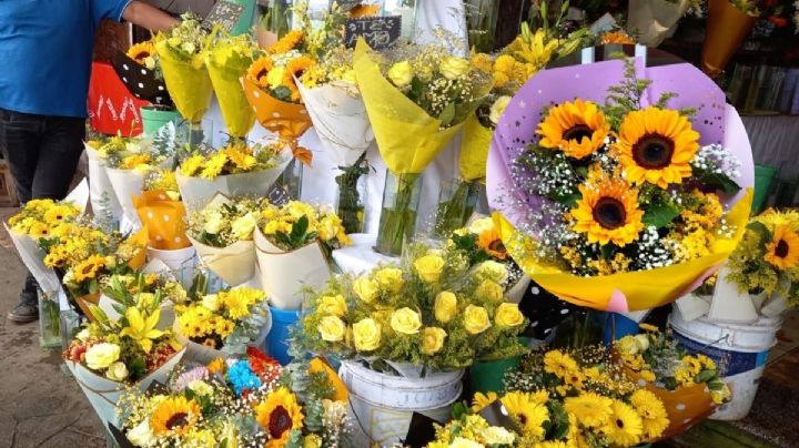 Por esta razón se regalan flores amarillas el 21 de marzo en Veracruz