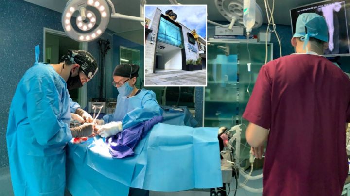 Estrenan tomógrafo para mascotas en el Centro Veterinario Integral de León