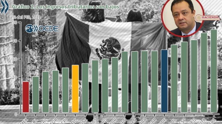 México y la OCDE; perspectivas antagónicas