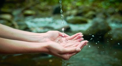 Día Mundial del Agua: cuidémosla