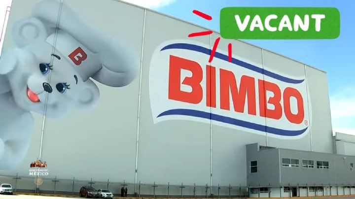 ¿Buscas empleo? BIMBO tiene vacantes con sueldos de hasta 53,000 mensuales