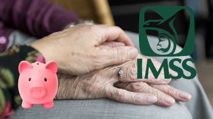 ¿Cuánto tiempo tarda en llegar y qué sigue después de la resolución de pensión del IMSS?