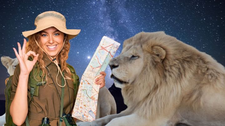 Disfruta de un recorrido nocturno, la nueva atracción del Tuzoofari