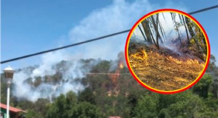 Incendio en Parque Nacional El Chico, cerca del pueblo mágico; reportan casas afectadas