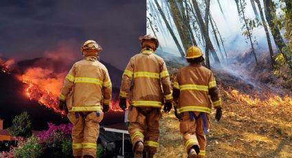 Incendios causan daños en Hidalgo: Atención en Mineral del Chico y Juárez Hidalgo I Fotos