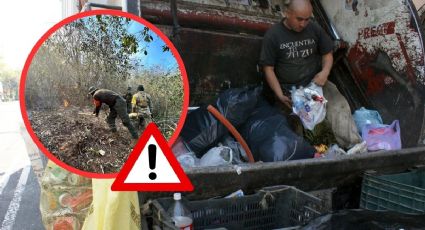 Por fuertes incendios en Altas Montañas, estos municipios de Veracruz no tendrán recolección de basura