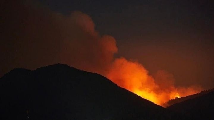 Sin control incendio en zona boscosa de Jilotzingo