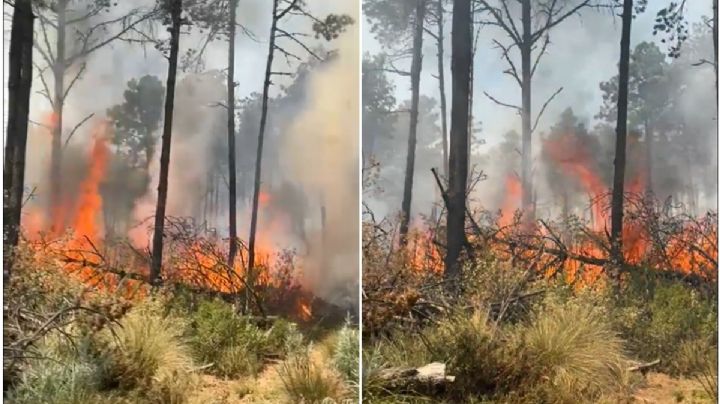 Incendios forestales en Edomex: La población debe protegerse del humo