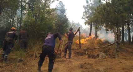 Incendios forestales en Atizapán: Vecinos dudan de la causa