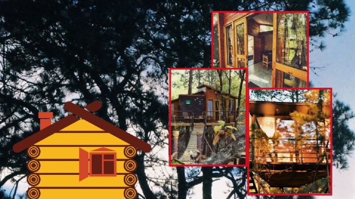 Pinochueco: Casitas en los árboles para una noche inolvidable, a 40 minutos de Pachuca I Fotos