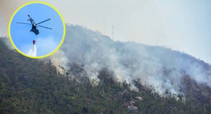 Incendios forestales en México ¿Qué hacer en caso de estar cerca de uno?