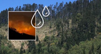 ¿Cuándo podría llover en Altas Montañas de Veracruz? Zona con incendios forestales